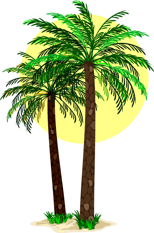 Tropical palm trees flower vinyl rug - TenStickers