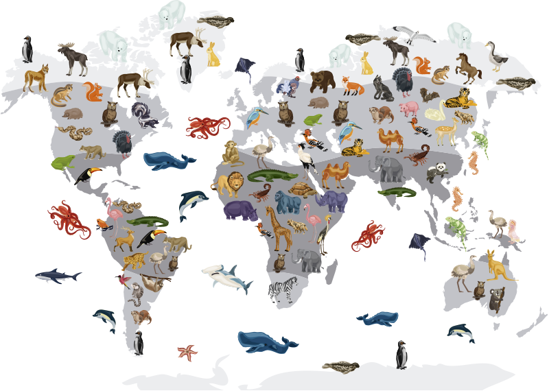 World map vinyl rug nordic style world map rug - TenStickers