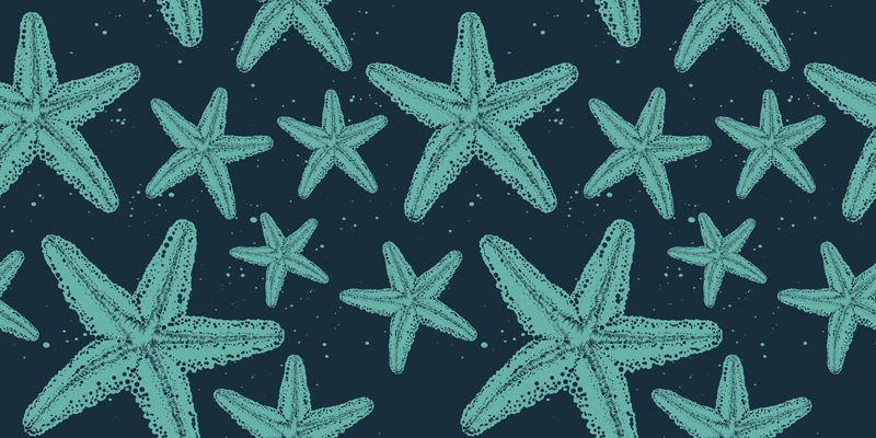 Bathroom vinyl rug starfish bluetones design - TenStickers