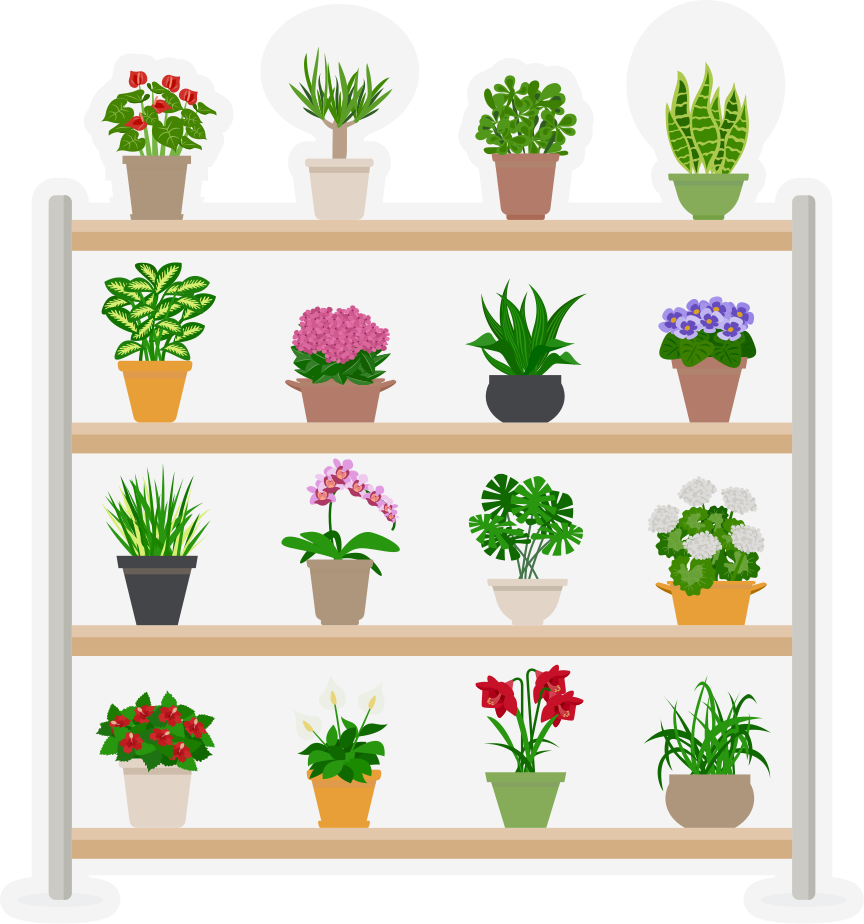 Kitchen vinyl rug with houseplants on shelves - TenStickers