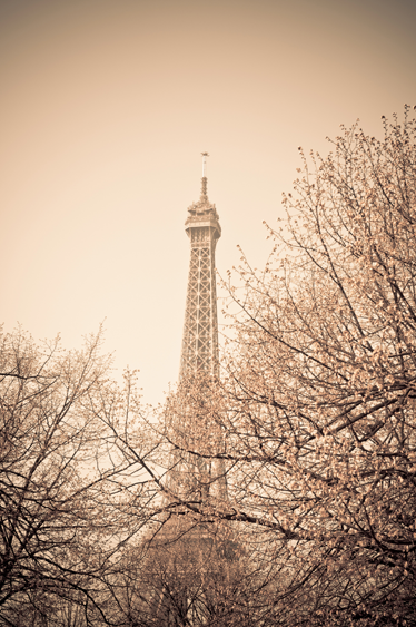 Bedroom vinyl rug eiffel tower with trees - TenStickers