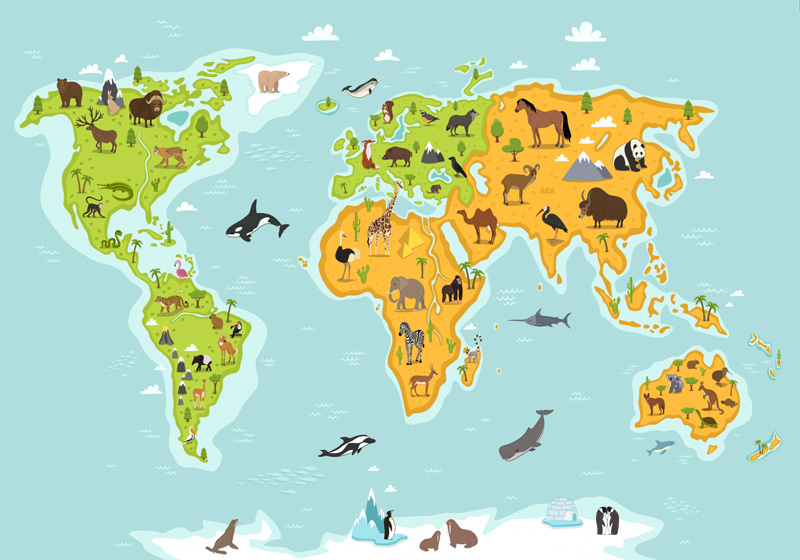 World map vinyl rug with fauna and flora design - TenStickers