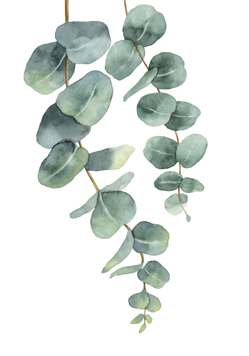 Flower vinyl rug eucalyptus twigs - TenStickers