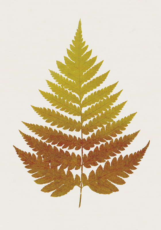 Flower vinyl rug with golden fern leaf design - TenStickers