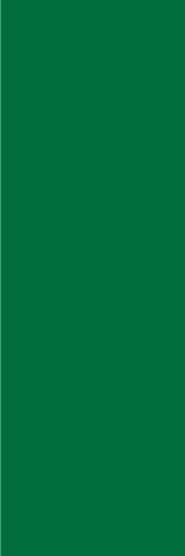 Green vinyl rug verde vinyl rug - TenStickers