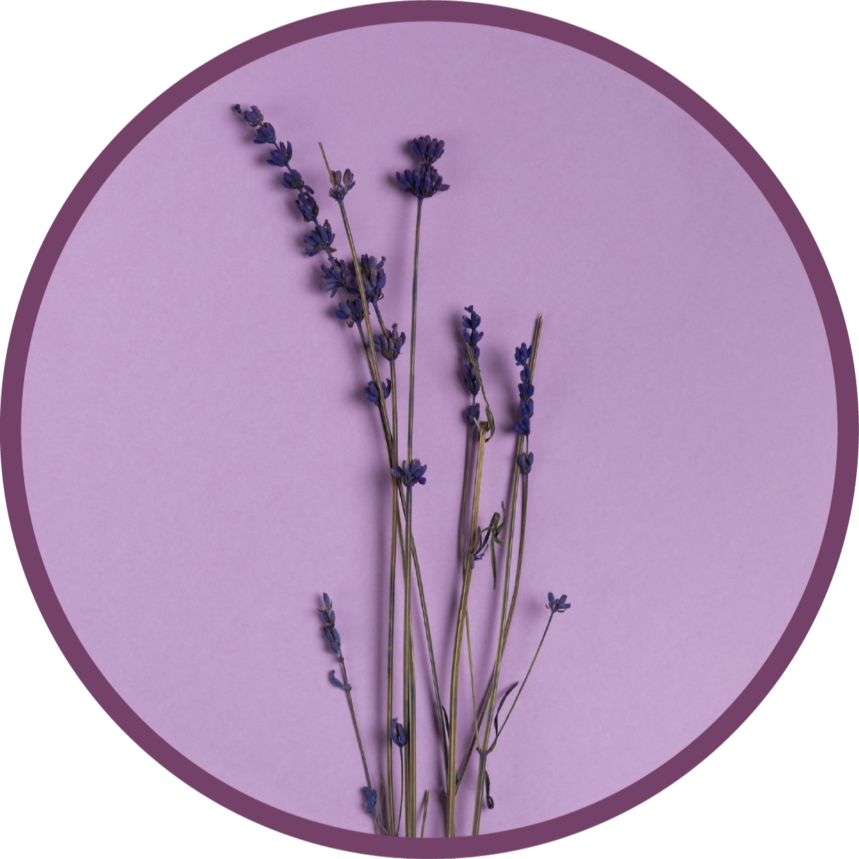Lavender Silhouette flower vinyl rug - TenStickers