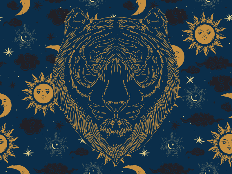 TIGER AND SUNS animal print vinyl rug - TenStickers