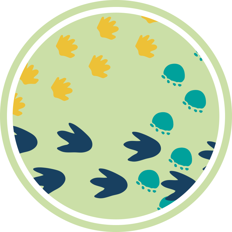 Dinosaur footprints design vinyl rug - TenStickers