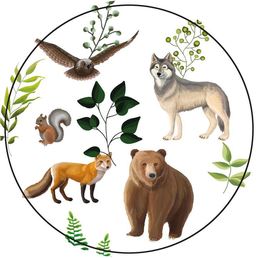 Friendly forest creatures vinyl rug - TenStickers