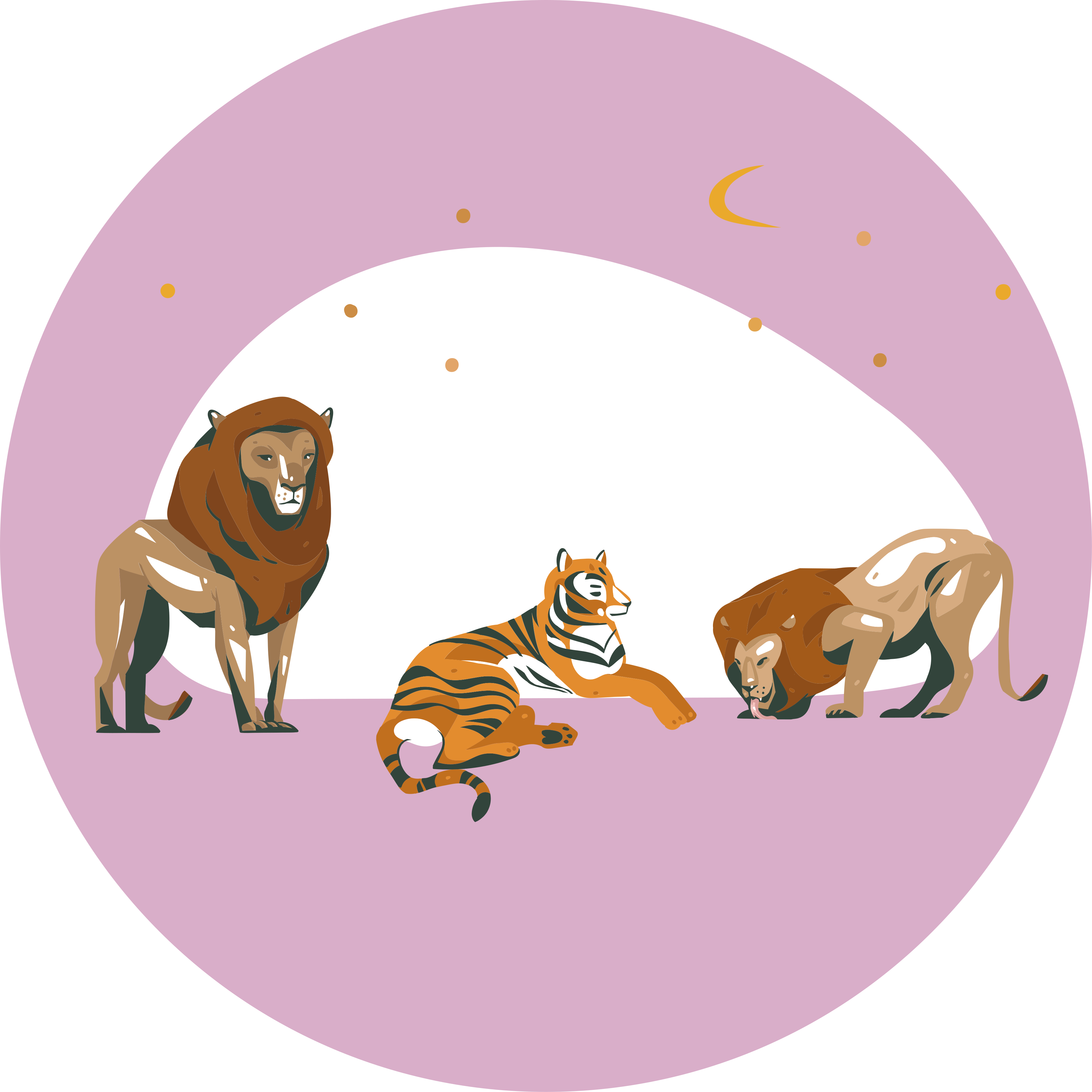 Safari wild animals animal vinyl rug - TenStickers