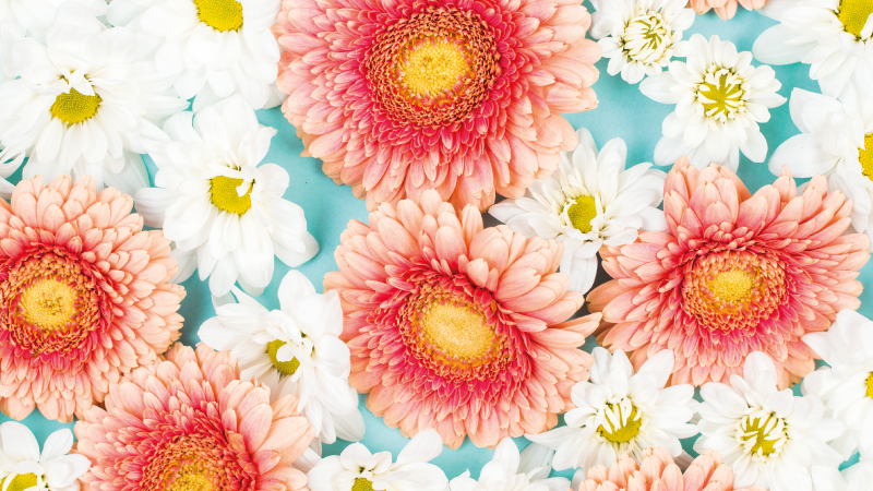 Vibrant blossom flower vinyl rug - TenStickers