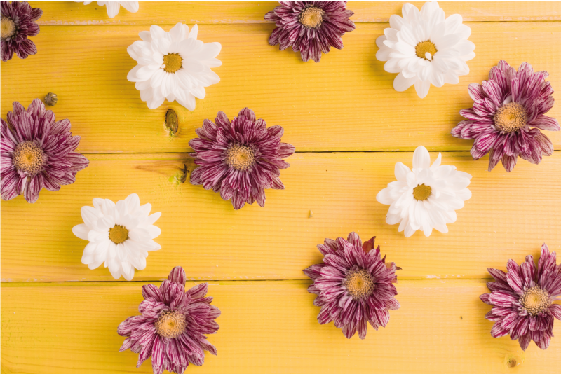 Pink and white petals flower vinyl rug - TenStickers