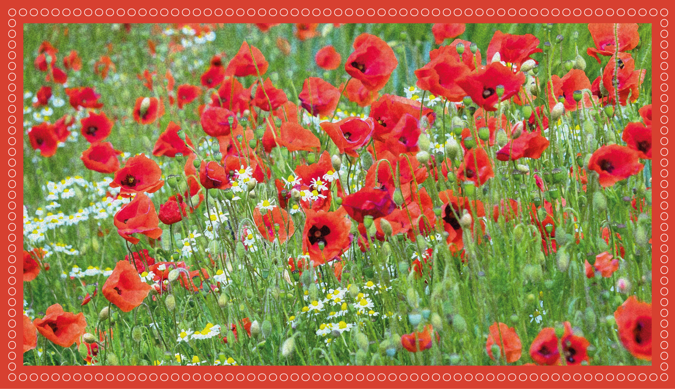 Realistic poppy field flower vinyl rug - TenStickers