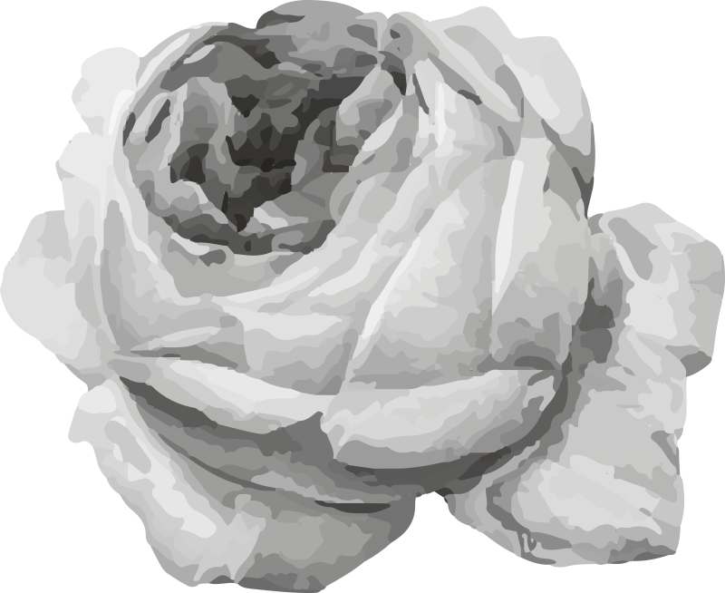 Rose Blossom flower vinyl rug - TenStickers