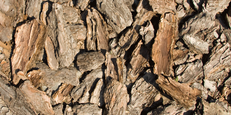 Natural bark design wood vinyl rug - TenStickers