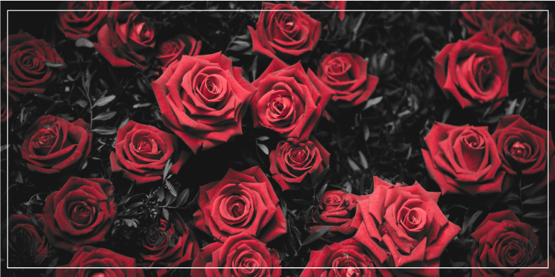 Realistic red roses design flower vinyl rug - TenStickers