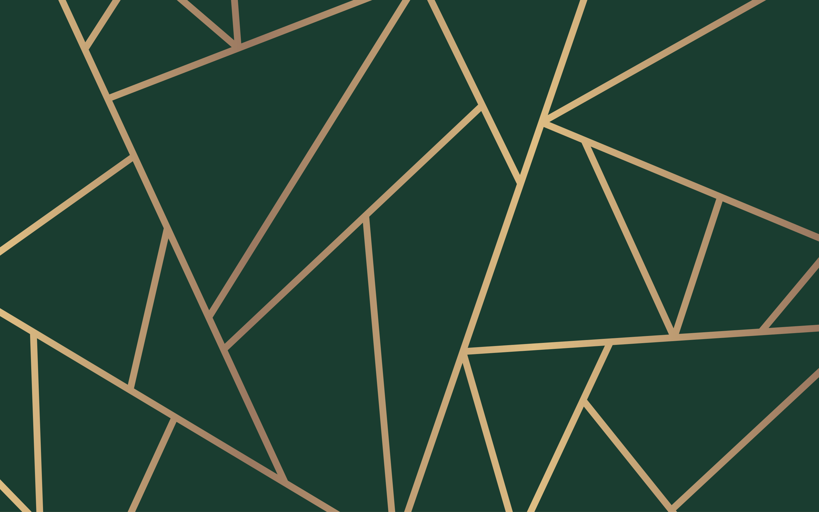 Green elegant lines geometric vinyl rug - TenStickers