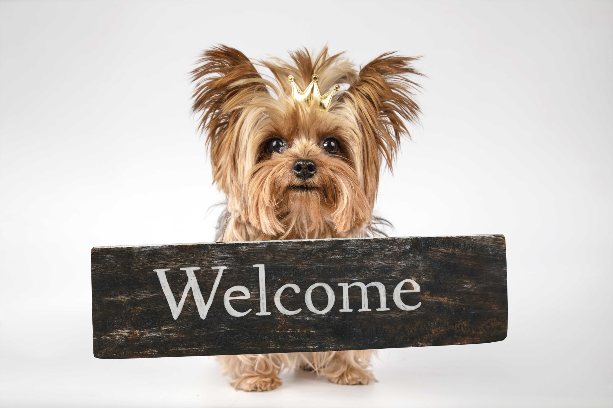 Furry Welcome Sign custom vinyl mat - TenStickers