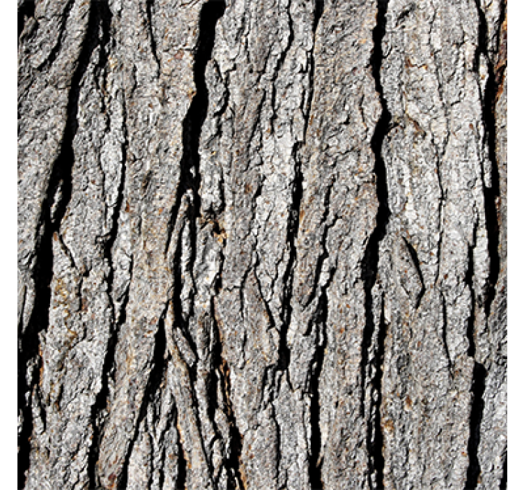 Wood wallpaper realistic bark design - TenStickers