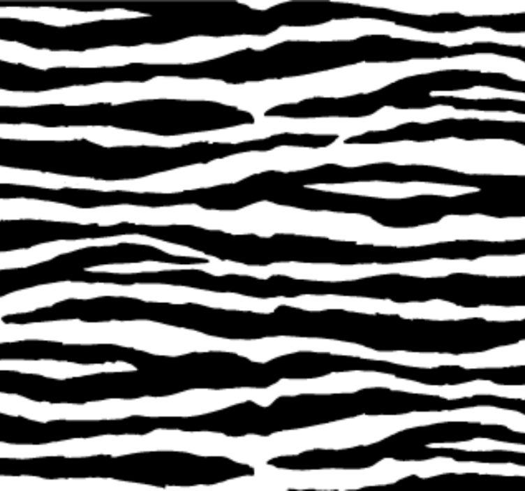 Animal wallpaper zebra stripes design - TenStickers
