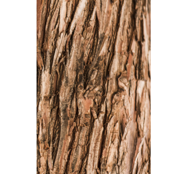 Living room wallpaper tree bark texture design - TenStickers