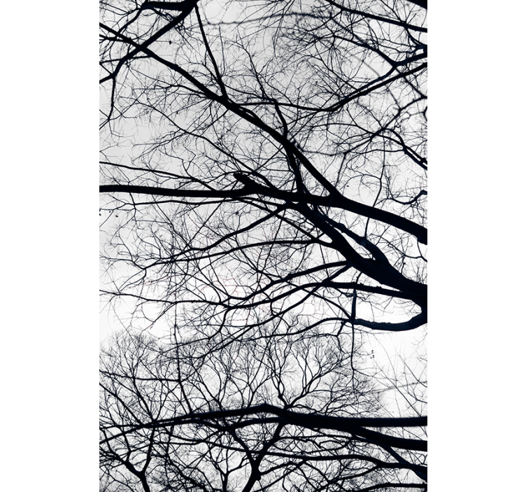 White and gray tree wallpaper - TenStickers