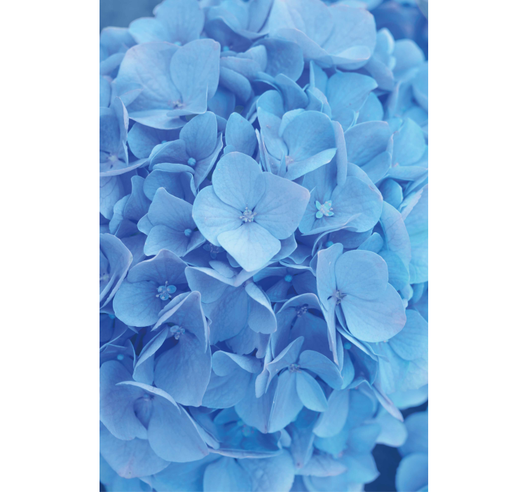 Flower wallpaper hydrangea blossom design - TenStickers